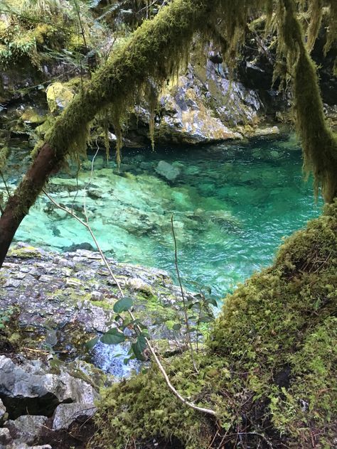 Opal Creek Trail Hike Oregon Opal Creek Oregon, Oregon Hiking, Oregon Hikes, Oregon Travel, Hopes And Dreams, Hiking Trails, Clear Water, Outdoor Camping, The Good Place