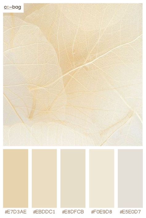 White Beige Bedroom Aesthetic, Cream Aesthetic Color Palette, Ivory And Gold Color Palette, Muted Gold Color Palette, White And Gold Colour Palette, Ivory Color Palette Colour Schemes, Creamy White Color Palette, Cream Color Palette Colour Schemes, Beige And Gold Color Palette