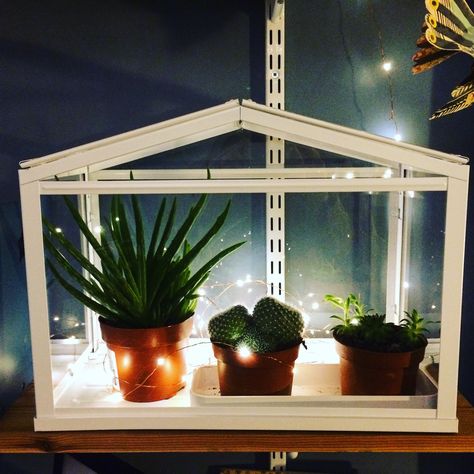 Ikea Socker Greenhouse Ideas, Socker Greenhouse, Indoor Greenhouse Ikea, Ikea Milsbo Wide Greenhouse, Ikea Socker Greenhouse, Ikea Stained Glass Greenhouse, Rv Air Conditioner, Split System Air Conditioner, Make Wind Chimes