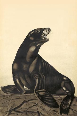 size: 18x12in Art Print: Vintage Sea Lion - Lantern Press Artwork by Lantern Press : Sea Lion Art, Art Nouveau Poster, Vintage Sea, Vintage Mermaid, Ink Wash, Lion Art, Stock Art, Sea Lion, Vintage Fishing