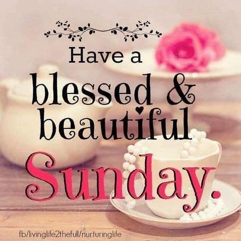 Good morning and happy Sunday y’all!!!! Hope you have a blessed day!!! It’s absolutely gorgeous here today!!!! 💕🙏☀️ Blessed Sunday Quotes, Blessed Sunday Morning, Sunday Humor, Happy Sunday Images, Sunday Messages, Happy Sunday Morning, Sunday Morning Quotes, Sunday Quotes Funny, Sunday Pictures