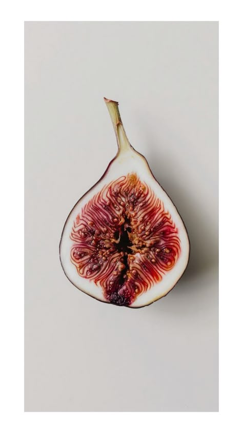 Figs Fruit Aesthetic, Fig Photo, Light Shadow Reference, Fig Aesthetic, Fig Wallpaper, Shadow Reference, Fruit Vinegar, Flowers Reference, Feminist Artist