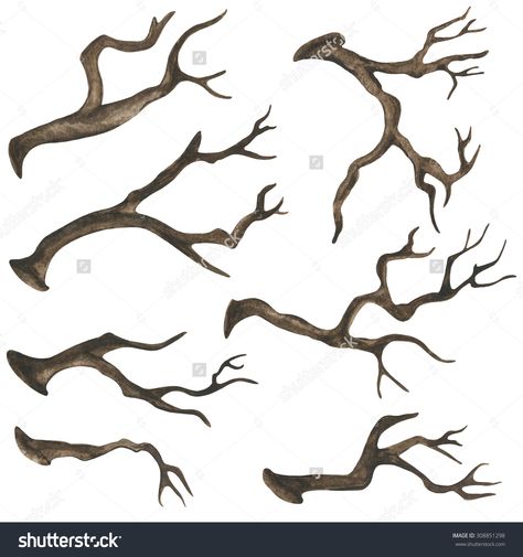 Watercolor Dry Tree Branches, Twigs Set Closeup Isolated On White ... Dried Tree Branches, Tree Branch Tattoo, Branch Drawing, Shadow Tattoo, Dry Tree, Branch Tattoo, Trendy Tree, Nature Drawing, Tree Illustration