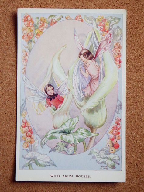 Valentine Fairy, Margaret Tarrant, Fairy Paintings, Fairy Pictures, Love Fairy, Vintage Fairies, Fairy Magic, Flower Fairies, Fairies Elves