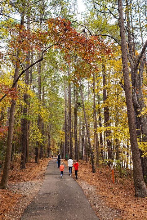 Looking for things to do in Raleigh in the fall? Check out this list of things to see and do, where to taste season drinks and treats, where to see fall foliage, pumpkin patches, events, and much more. #Raleigh #NorthCarolina #falltravel #fall Things To Do In North Carolina Fall, North Carolina Fall, North Carolina Raleigh, Things To Do In Raleigh Nc, Raleigh North Carolina Aesthetic, Visit North Carolina, Raleigh North Carolina, Autumn Lake, Fall Vacations