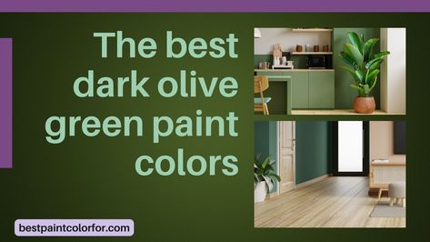 The best dark olive green paint colors Dark Olive Green Paint, Olive Green Paint Colors, Olive Green Paint, Olive Green Paints, Paint Color Guide, Home Decor Green, Best Paint, Green Palette, Green Paint Colors