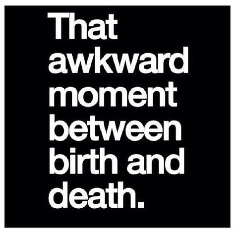 #soawkward #goesbyquick ↔⏳⏰⌚ #blacksheep Funny Quotes Laughing So Hard, That Awkward Moment, Super Funny Quotes, Funny Quotes Sarcasm, Inspirational Quotes Pictures, Awkward Moments, Life Humor, Funny Love, Laughing So Hard