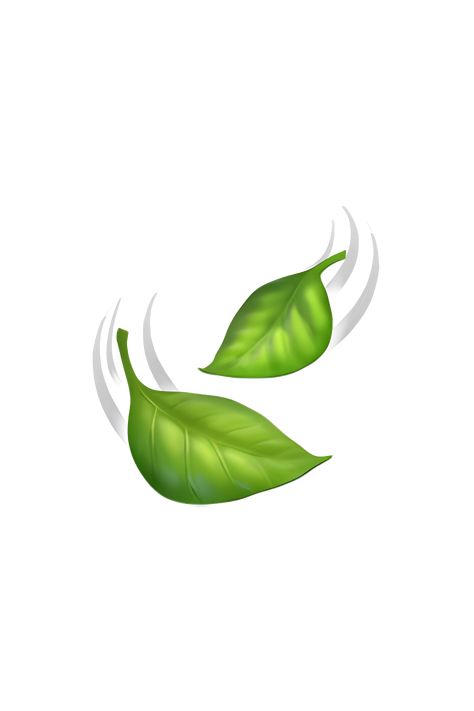 The emoji 🍃 depicts a green leaf with a stem, fluttering or swaying in the wind. The leaf has a slightly curved shape and is shown with a few veins running through it. The movement of the leaf is conveyed by a series of diagonal lines behind it, which represent the wind blowing it back and forth. Overall, the emoji gives the impression of a fresh, natural, and breezy atmosphere. Wind Emoji, Planet Emoji, Leaf Pictures, Green Emoji, Png Emoji, Leaves Blowing, Emoji Tattoo, Iphone Png, Emojis Iphone