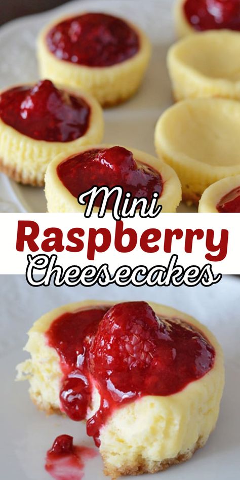 Mini round cheesecakes with graham cracker crust,  cheesecake and topped with raspberry and sauce. With Pinterest overlay. Raspberry Filling Desserts, Raspberry Food, Red Raspberry Cheesecake, Raspberry Dinner Recipes, Things To Make With Raspberries, Mini Raspberry Desserts, Cake Bites Recipe, Easy Raspberry Cheesecake, Raspberries Cheesecake