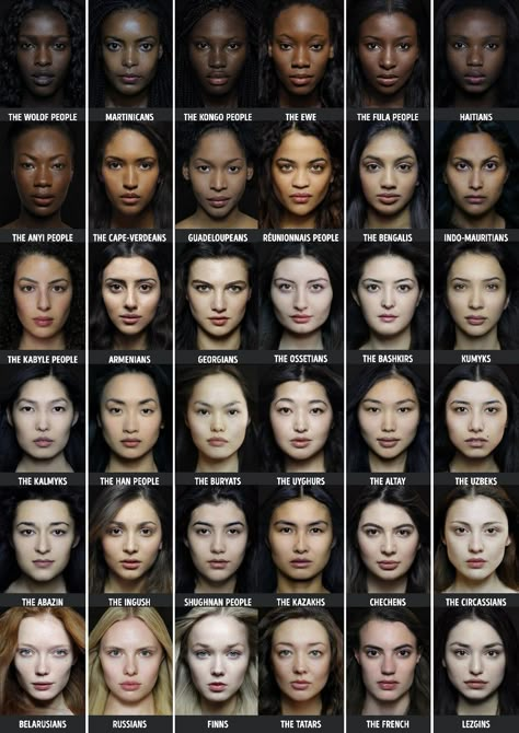 360 Face Reference, Ideal Facial Features, Ethnicity Chart, Male Vs Female Face, Animal Pretty Face Types, Gonial Angle, Npc Generator, Human Face Anatomy, Different Types Of Faces