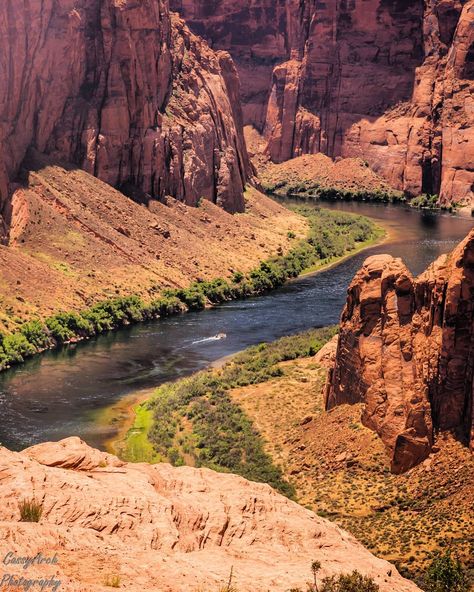 View of the Colorado River from Glen Canyon Dam side. 🚤 #arizona #az #abc15 #fox10phoenix #12news #3tv #cbs5az #arizonaisgorgeous… River Canyon, Prescott Az, Glen Canyon Dam, Glen Canyon, Colorado River, Grand Canyon National Park, Grand Canyon, Beautiful Nature, Arizona