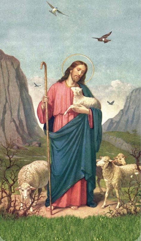 Jesus Shepherd, Jesus Good Shepherd, Roman Catholic Art, Christ The Good Shepherd, Catholic Artwork, Biblical Artwork, Catholic Pictures, Jesus Christ Painting, The Lord Is My Shepherd