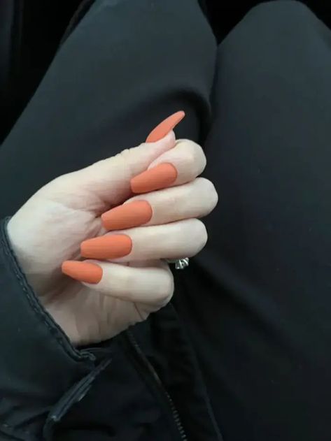 30 Trending Burnt Orange Fall Nails 2024 Orange Matte Nails Coffin, Burnt Orange Matte Nails, Matte Burnt Orange Nails, Deep Orange Nails, Matte Orange Nail, Pumpkin Orange Nails, Orange Matte Nails, Orange Autumn Nails, Mat Nail Polish