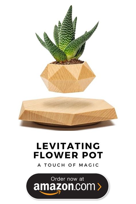 levatating flower pot

magnets hold the floating plan up, it's a cool gift, magnetism is really cool Levitating Plant, Manifestation Aesthetic, Black Patio, Floating Plants, Salt Lamps, Plant Pots, Small Plants, Plant Pot, Flower Pot