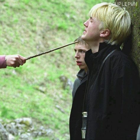 Draco Y Hermione, Matching Cat Pfp Friends, Harry Potter Couples, Drako Malfoy, Ron And Harry, Harry Potter Parody, Harry Potter Friends, Harry And Hermione, Best Friend Match