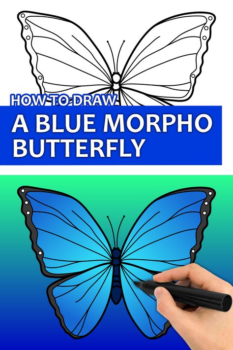 Learn how to draw a Blue Morpho Butterfly with this step by step drawing tutorial video. Enjoy! ♥ #butterfly #butterflyart #bluemorphobutterfly #butterflydrawing #easydrawingforkids Morpho Butterfly Drawing, Blue Morpho Butterfly Drawing, Easy Butterfly Drawing Simple, How To Draw A Butterfly Step By Step, How To Draw A Butterfly, Butterfly Drawing Outline, Easy Butterfly Drawing, Flag Coloring Pages, Simple Butterfly