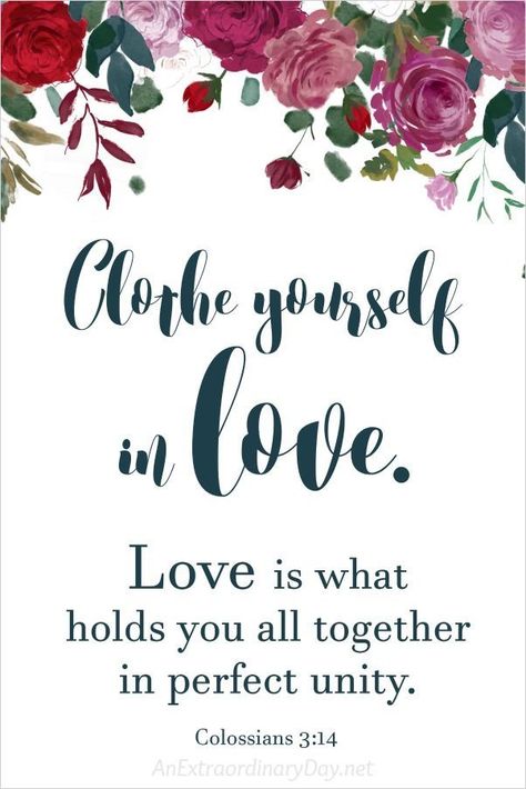 Bible Verses About Love:Download this FREE 8x10 scripture QUOTE - Clothe yourself in love - Printable Sister Scripture, Wedding Slides, Positive Scripture, Bible Marriage, Faith Qoutes, Marriage Promises, Scripture Gifts, God's Mercy, Scripture Quote