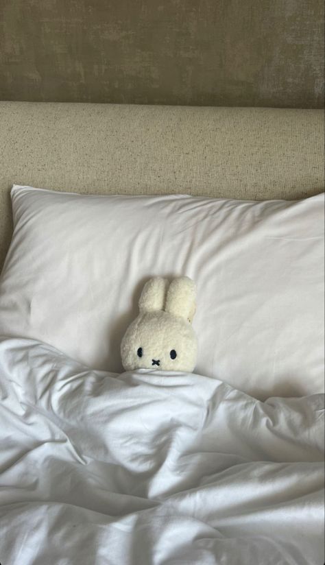 Miffy Aesthetic, Walpapers Cute, Four Kids, Pfp Aesthetic, Secrets Revealed, Inner Circle, Cute Stuffed Animals, White Aesthetic, Ipad Wallpaper