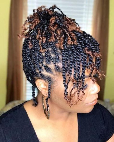 60 Beautiful Two-Strand Twists Protective Styles on Natural Hair - Coils and Glory Fall Hairstyles For Black Women, Mini Twists Natural Hair, Twisted Hair, Natural Twists, Fall Hairstyles, Protective Hairstyles For Natural Hair, Hairstyles Natural, Natural Hair Twists, Twist Styles