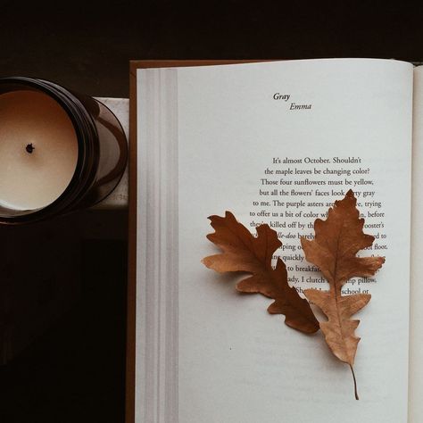 Cats Tumblr, An Open Book, Fall Feels, Open Book, Autumn Aesthetic, Autumn Photography, Autumn Inspiration, Book Photography, Autumn Day