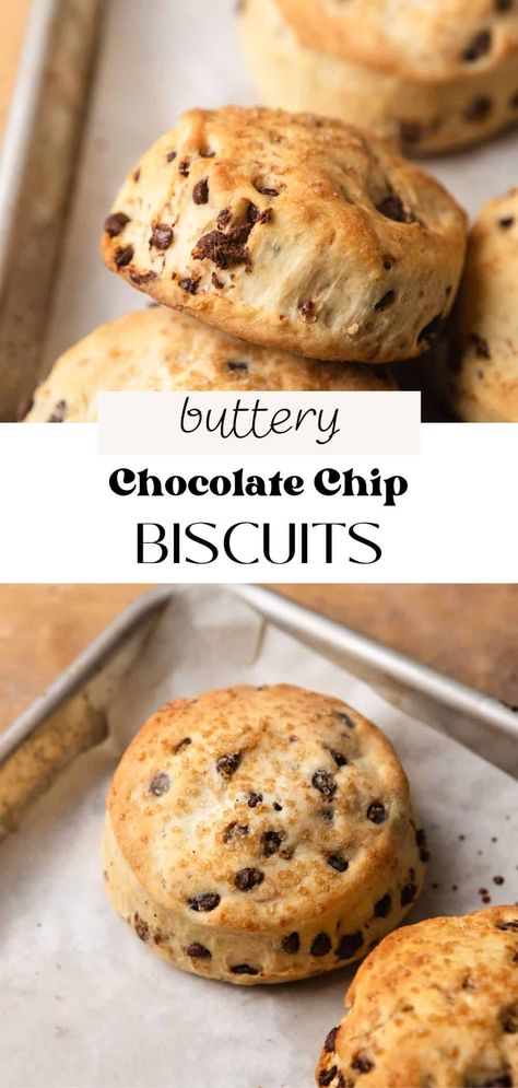 These chocolate chip biscuits are so buttery and flaky. They're crisp on the outside with a tender, fluffy interior. Loaded with mini chocolate chips and sprinkled with sugar, they make a great sweet, Southern-style addition to your breakfast table! Sourdough Discard Chocolate Chip Scones, Easy Chocolate Chip Scones, Scones Recipe Chocolate Chip, Scone Recipes Chocolate Chip, Chocolate Chips Scones Recipe, Chocolate Chip Biscuits, Southern Buttermilk Biscuits, Southern Breakfast, Yeast Bread Recipes