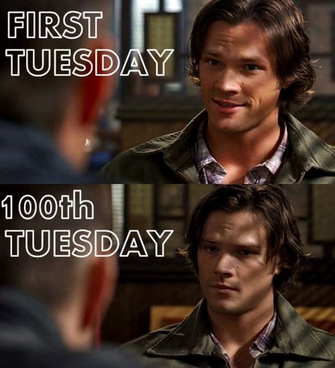 Too many Tuesdays. <-- Sam's face in the last one "I am so done, I might start killing Dean myself just to see what happens then. And then I won't have to explain the whole thing AGAIN." Impala 67, Heat Of The Moment, It's Tuesday, Mark Sheppard, Winchester Boys, Supernatural Memes, Supernatural Fans, Supernatural Funny, Odaiba