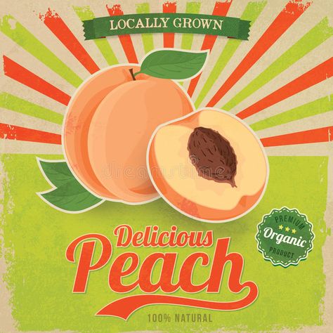 Juice Clipart, Peach Stock, Light Spring Colors, Drinks Packaging Design, Fruits Images, Tumblr Stickers, Retro Images, 카드 디자인, Free Coffee