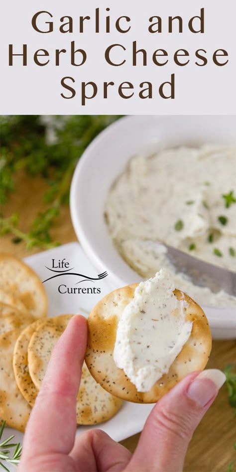 I'm holding a cracker topped with Garlic and Herb Cheese Spread in front of a bowl full of spread and some crackers Garlic Herb Cheese Spread Recipe, Oatmeal Meatloaf, Garlic Herb Cheese, Museum Statues, Cream Cheese Spread Recipes, Cheese Spread Recipes, Garlic Spread, Spreadable Cheese, Cream Cheese Spread