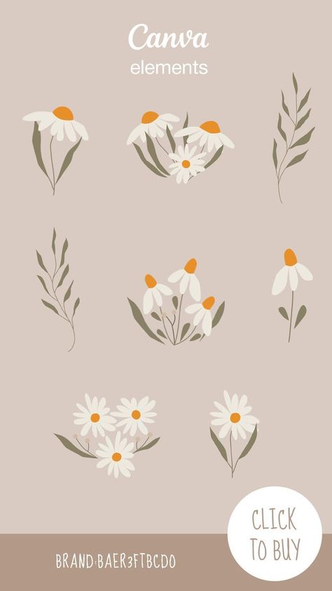 Daisy flowers Сhamomile art Spring flowers Wi Canva Flower Elements, Daisy Branding, Canva Posters Design, Canva Ideas Design, Daisy Flower Illustration, Daisies Illustration, Daisy Vector, Beautiful Daisy Flowers, Daisy Flower Art