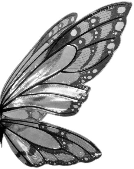 Fairy Wings Aesthetic, Image Nature, Fairy Aesthetic, Angel Aesthetic, Gray Aesthetic, Black And White Aesthetic, Fairy Wings, Art Collage Wall, Butterfly Wallpaper