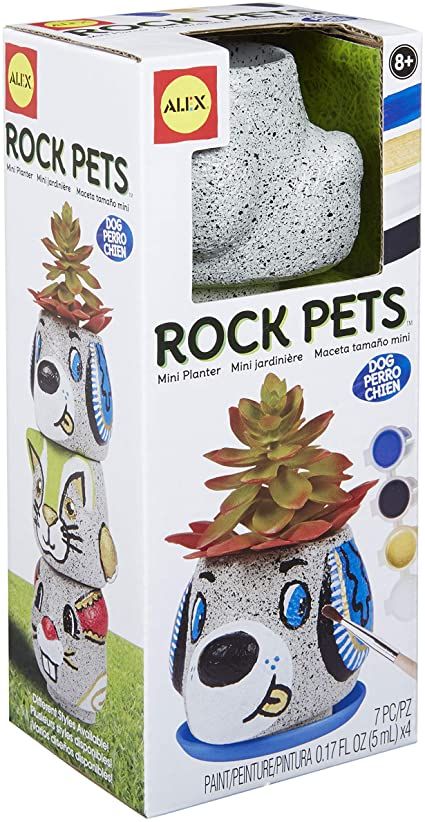 Pet Rock Box Template, Pet Art Projects For Kids Preschool, Dog Planter Pattern, Rock Pets, Kids Art And Craft, Craft Activity, Art And Craft, Kids Art, Arts And Crafts For Kids