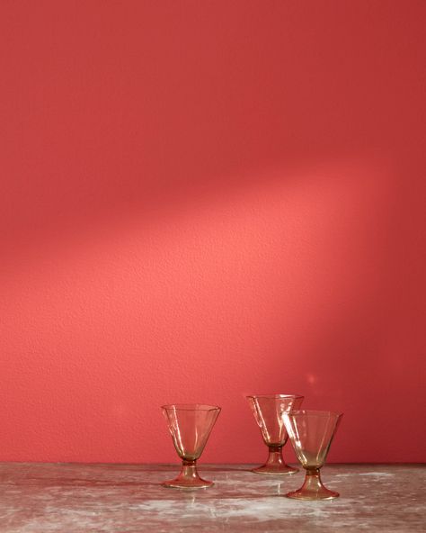 Paint Color Swatches, Orange Paint Colors, Habanero Peppers, Benjamin Moore Colors, Orange Paint, Painted Cups, Red Walls, White Doves, Paint Colors For Home