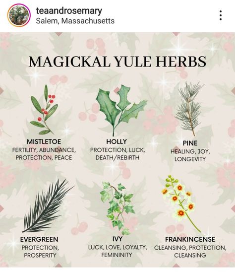 Winter Solstice Herbs, Mistletoe Witchcraft, Yule Pictures, Everyday Witchcraft, Wicca Holidays, Winter Solstice Party, Yule Traditions, Yule Crafts, Pagan Christmas