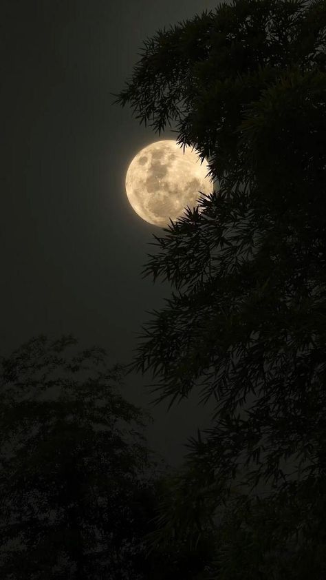 Eiffel Tower Photography, Moonlight Photography, Blue Moon Photography, Space Phone Wallpaper, The Moon Is Beautiful, Spiritual Artwork, Moon Illustration, Moon Photography, Sky Photos