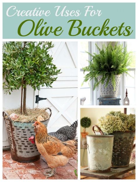 Using Olive Buckets In Your Home Decor Olive Basket Decor Ideas, Farmhouse Livingrooms, Olive Bucket Decor, French Industrial Decor, Olive Decor, Vintage Farmhouse Bathroom, Bucket Decor, Olive Bucket, French Industrial