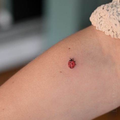 . Capturing nature’s tiny marvels in ink. This realistic ladybug tattoo symbolizes luck and beauty. Done by Ada @adatattooer Realistic Ladybug Tattoo, Ladybug Tattoo Stick And Poke, Miraculous Ladybug Tattoo, Little Ladybug Tattoo, Tiny Ladybug Tattoo, Tiny Tattoos Ladybug, Small Lady Bug Tattoos, Small Ladybug Tattoo, Fine Line Ladybug Tattoo