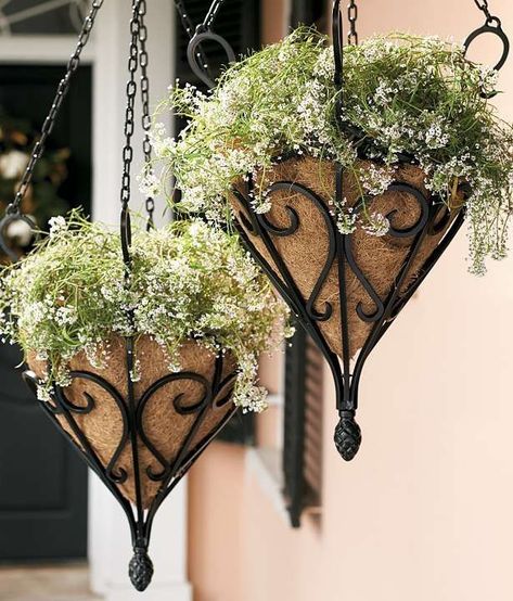 Tole & Iron Planter, Large - Neiman Marcus | Planters, Irons and ... Iron Planters, Wrought Iron Decor, Hanging Flower Pots, Garden Containers, Hanging Planter, Iron Decor, Plant Wall, Lawn And Garden, Hanging Planters