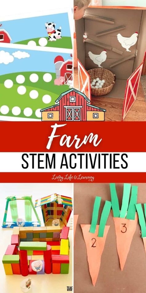 Farm STEM Activities will not only help kids learn about important concepts in science, technology, engineering, and math, but they'll also have the opportunity to connect with your rural surroundings and appreciate the beauty of the farm. Try these activities during your homeschool farm lesson! Farming For Preschoolers, Farm Play Based Learning, Farm Theme Math Activities, Farm Animals Learning Activities, Farm Unit Preschool Art, Classroom Farm Activities, Preschool Farm Literacy Activities, Farm Animals Activities For Elementary, What Do Farmers Do Preschool