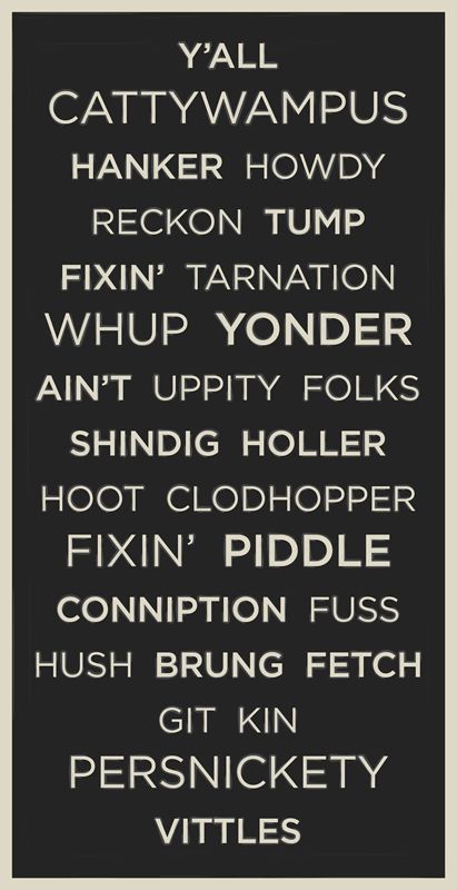 I'm new(er) to the south, but say a lot of these things. Persnickety might be my favorite. Cowboy Slang, Southern Words, Southern Slang, Southern Pride, Into The West, Southern Sayings, Southern Life, Southern Girls, Southern Women