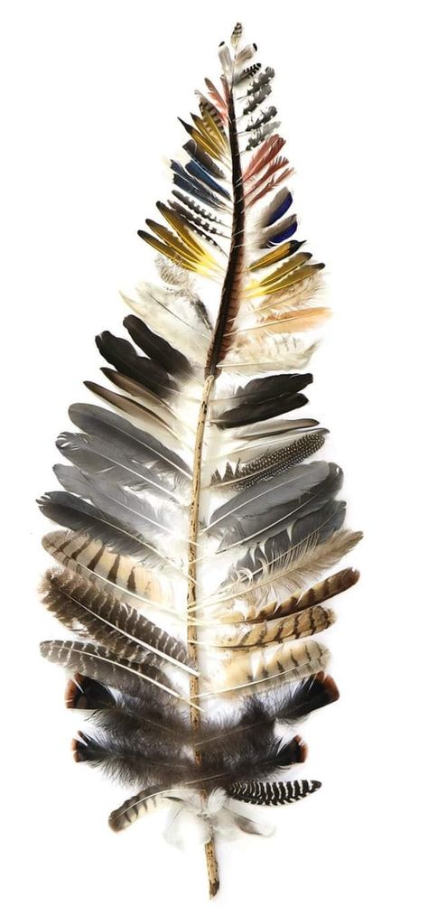 Art Using Feathers, Feather Diy Ideas, Feather Diy Decor, Things To Do With Feathers Crafts Ideas, Projects With Feathers, Feather Art Diy Craft Ideas, Feather Ideas Diy Crafts, Feather Pictures Art, Bird Bedroom Ideas