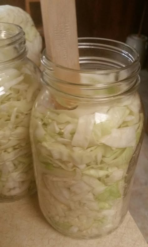 Canning Cabbage – Preserving the Good Life Canning Kraut In Jars, Cabbage Canning, Canned Cabbage, Canning Cabbage Recipes, Canning Sauerkraut, Canning Cabbage, Summer Canning, Freezing Recipes, Canning Water