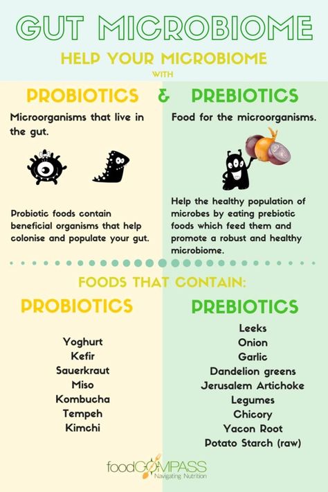 Difference Between Prebiotics and Probiotics Plexus Graphics, Probiotics For Men, What Is Ibs, Probiotics And Prebiotics, Medical Things, Food Chemistry, Probiotic Yogurt, Gut Health Tips, Body Facts