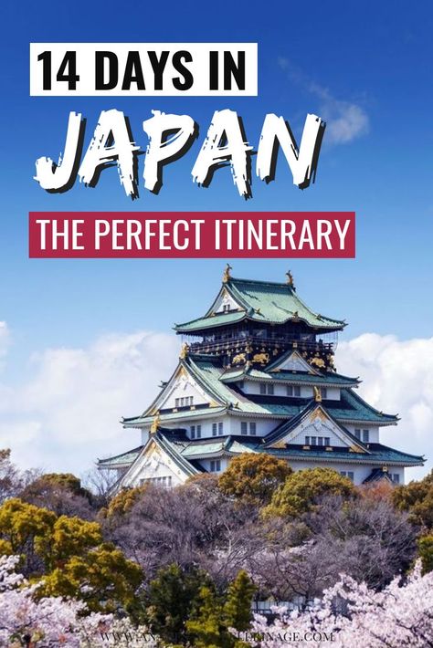 The perfect 14 days Japan itinerary. Everything you need to know to plan your trip to Japan. Where to stay, when to go and all the things to do in Japan. This Japan travel guide will help you plan your time - from Tokyo, Kyoto to Osaka, Nara and Hiroshima. #travel #japan #traveltips #travelguide #asia Hiroshima Travel, 2 Days In Berlin, China Travel Guide, Asian Travel, Japan Itinerary, Japan Guide, Travel Secrets, Japan Travel Tips, Japan Travel Guide