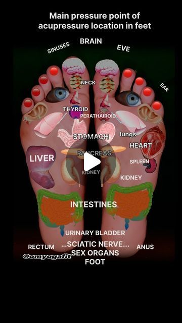 Mohit Rana on Instagram: "Main pressure point of acupressure location in feet #helth #yoga #acupressurepoints ##trending ##viral" Foot Pressure Points, Pressure Point, Sciatic Nerve, Acupressure Points, Health Recipes, August 9, Pressure Points, Health Facts, Acupressure