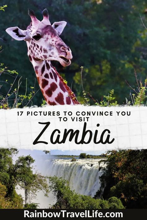 Zambia Travel, Africa Bucket List, African Adventure, Africa Itinerary, Zambia Africa, Africa Travel Guide, Zambezi River, Travel Africa, African Travel