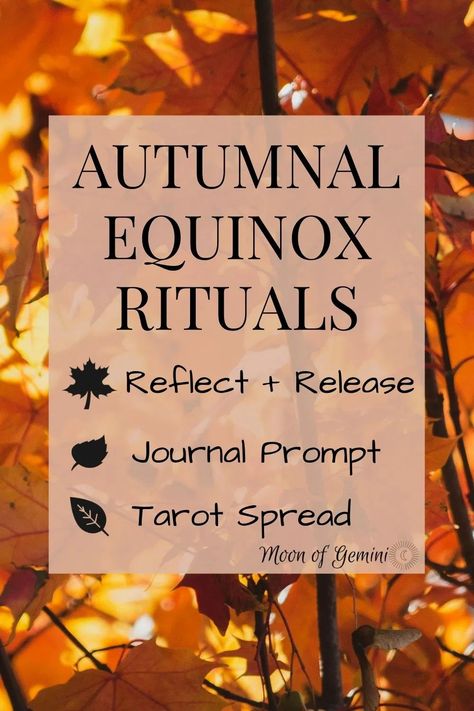 ideas for the fall equinox, how to celebrate it and release what is no longer helpful to you, like a tree loses its leaves. Spell Recipes, Witchy Holidays, Autumnal Equinox Celebration, Spiritual Parenting, Autumn Equinox Ritual, Equinox Ritual, Equinox Celebration, Spring Equinox Ritual, Fall Moon