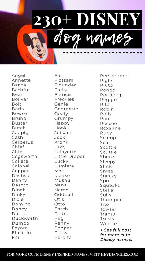 230+ Super Cute Disney Dog Names - dog name ideas, dog name inspiration, Disney inspired dog names, Disney dog characters, cute puppy names, Disney lover, Disney fan, new puppy names, new dog name ideas #doglover #disney #dognames Disney Girl Dog Names, Disney Dog Names Boys, Disney Animal Names, Puppy Litter Theme Names, Animal Name Ideas, Marvel Dog Names, Disney Inspired Names, Female Dog Names Unique List, Original Dog Names