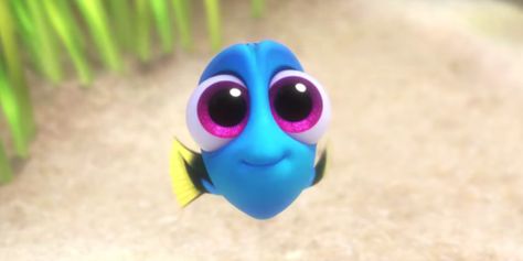 This Clip Might Be the Cutest Part of Pixar's "Finding Dory" - Cosmopolitan.com Finding Dory Baby, Finding Dory Movie, Baby Dory, Dory Fish, Dory Finding Nemo, Today Is Monday, Disney Youtube, Disney Sign, Disney Wiki