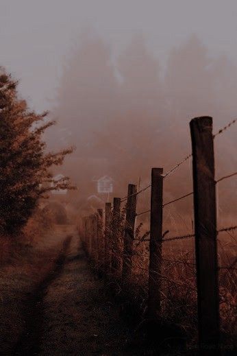 Brownish Red Aesthetic, Rural Horror, Dark Country Aesthetic, Lights And Shadows, The Beauty Of Life, Beauty Of Life, Dark Autumn, Brown Fall, Autumn Scenes