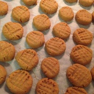 A cookie sheet with rows of small cookies. Dog Tricks Easy, Small Cookies, Easy Dog Treats, Doggie Treats, Positive Dog Training, Puppy Treats, Cheap Dogs, Treat Recipes, Dog Tips